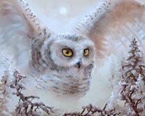 Без бренда «2KMB-3848» в Вологде