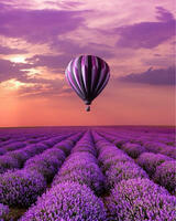 Без бренда «Фиолетовый воздушный шар над фиолетовым лавандовым полем» в Вологде