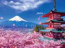 Без бренда «2KSB-7277» в Вологде