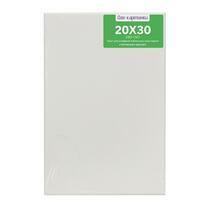 Без бренда «Коробка 80 шт.: Холст Две картинки на подрамнике 20X30» в Вологде