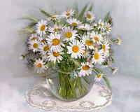 Без бренда «BOX20-2KMA-0021» в Вологде