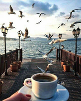 Без бренда «BOX20-2KMB-1952» в Вологде