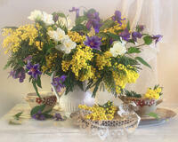 Без бренда «Натюрморт из мимоз и колокольчиков (20шт)» в Вологде