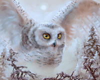 Без бренда «Полярная сова над лесом (20шт)» в Вологде