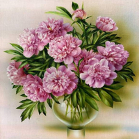 Без бренда «Пионы в круглой прозрачной вазе (20шт)» в Вологде