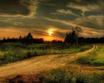 Без бренда «Проселочная дорога на закате» в Вологде