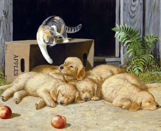 Картина по номерам 40x50 Кошка играет со щенками