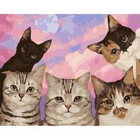 Без бренда «Такие разные котики» в Вологде