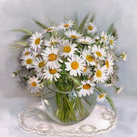 Без бренда «Букет свежих ромашек» в Вологде