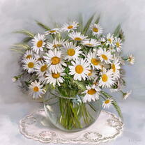 Без бренда «Букет свежих ромашек» в Вологде