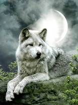 Без бренда «Коробка 25 шт. картин по номерам BOX25-GX21058» в Вологде