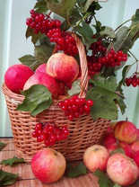 Без бренда «Коробка 25 шт. картин по номерам BOX25-GX5174» в Вологде