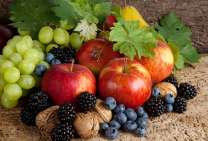 Без бренда «Фрукты, ягоды и орехи» в Вологде