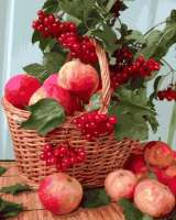Без бренда «Плетёная корзина с калиной и яблоками» в Вологде