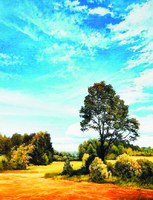 Без бренда «Осенний пейзаж с голубым небом» в Вологде в интернет-магазине  Без бренда «Осенний пейзаж с голубым небом» в Вологде