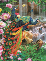 Два больших павлина у водопада