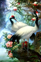 Без бренда «Коробка 25 шт. картин по номерам BOX25-GX29399» в Вологде в интернет-магазине  Без бренда «Коробка 25 шт. картин по номерам BOX25-GX29399» в Вологде