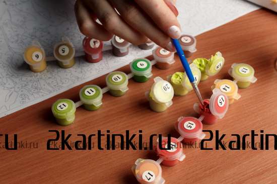 Картина по номерам 40x50 GX42758 Темноглазая девчонка с цветами и птицами в волосах за 320 руб.  в интернет-магазине  Картина по номерам 40x50 Темноглазая девчонка с цветами и птицами в волосах